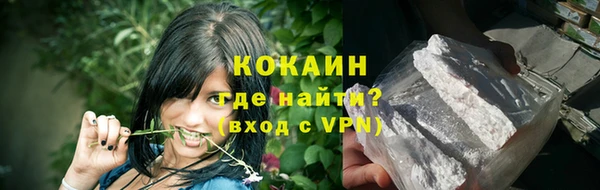 не бодяженный Гусев