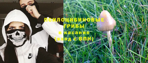 скорость mdpv Гусиноозёрск
