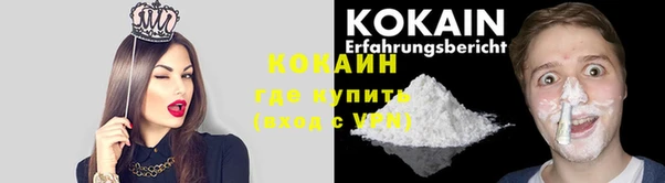 не бодяженный Гусев