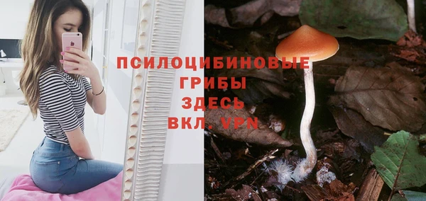 наркотики Гусь-Хрустальный